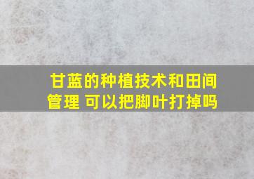 甘蓝的种植技术和田间管理 可以把脚叶打掉吗